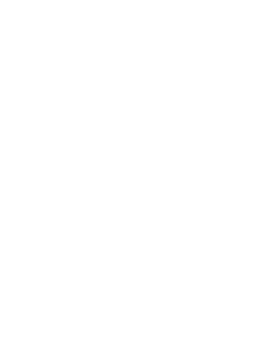 Estereoscopio
